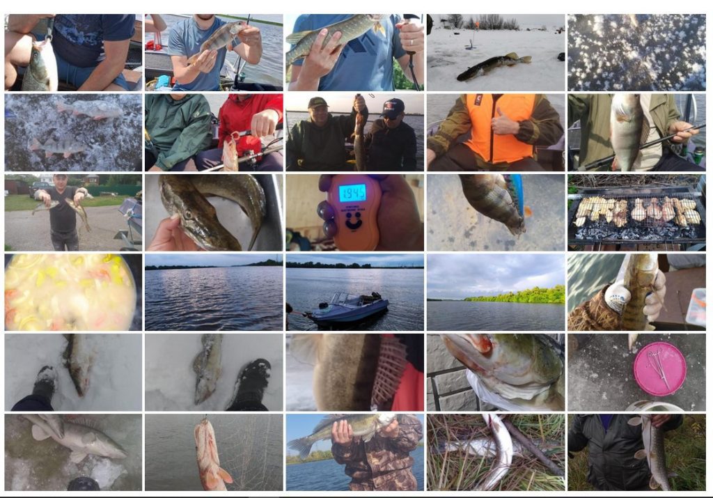 Рыбалка с гидом на Оке